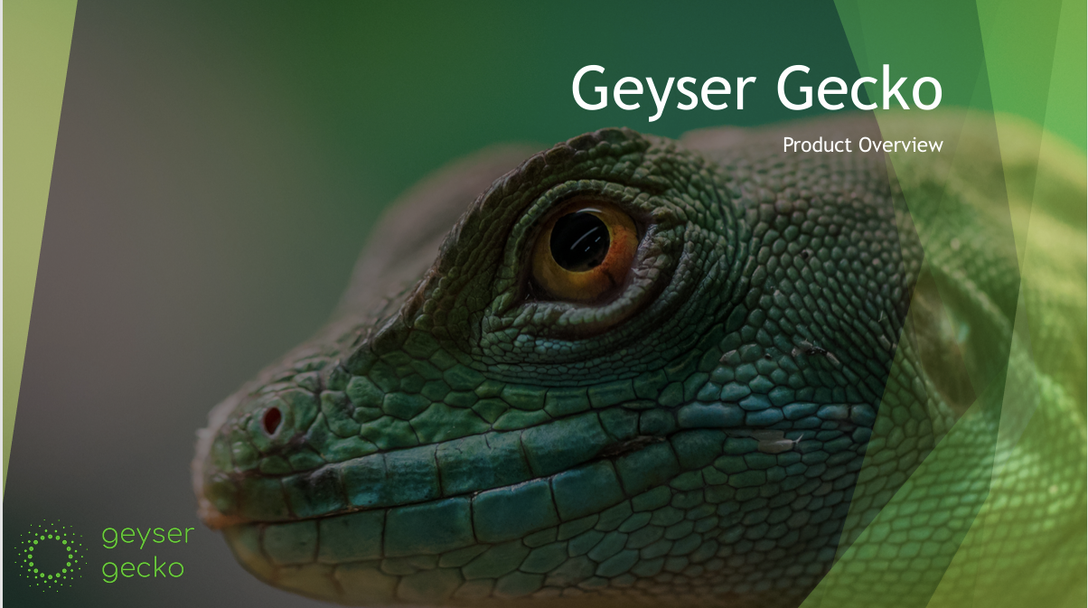 GEYSER GECKO - Solar Geyser converter
