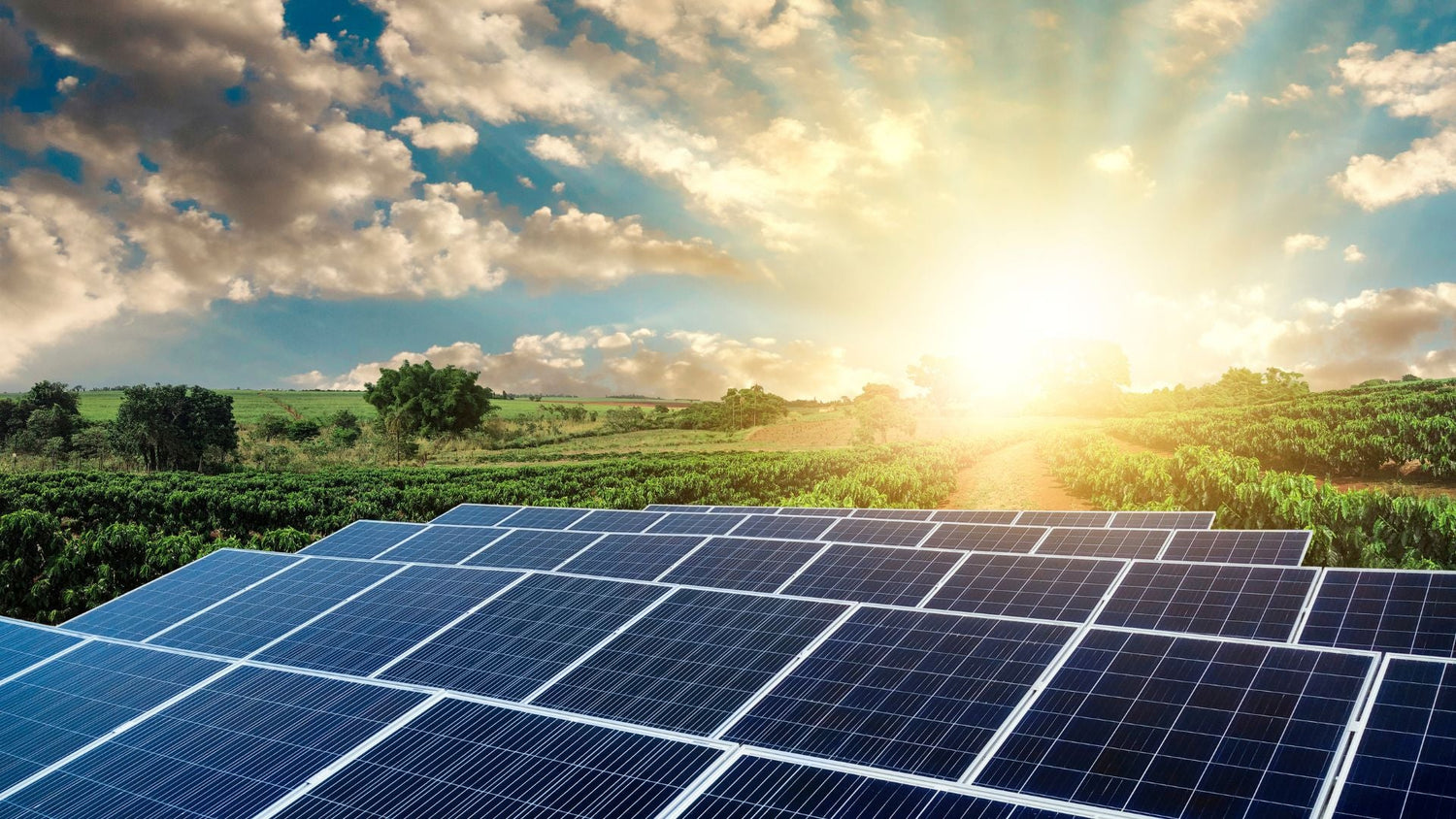 Solar